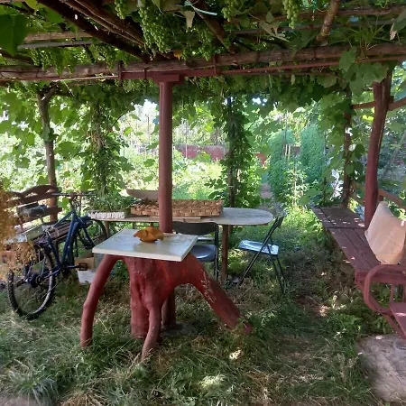 Dom wakacyjny Calabria Collina Antico Casale Con Giardino Bio Naturale Self Service Attrezzato *