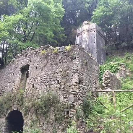 Calabria Collina Antico Casale Con Giardino Bio Naturale Self Service Attrezzato Dom wakacyjny Melia