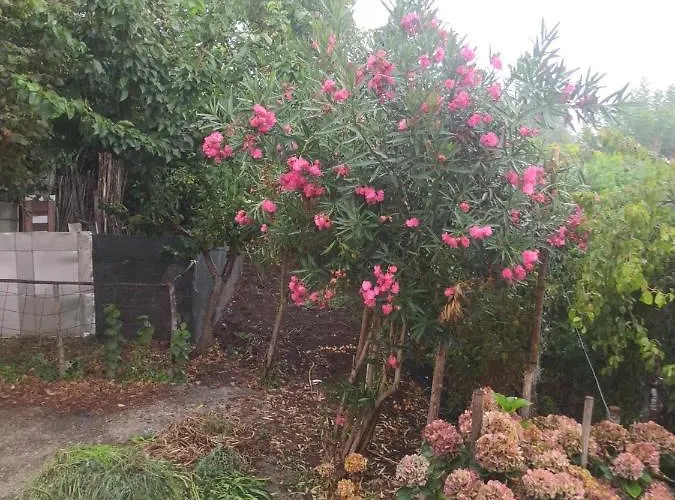 Self Service Attrezzato Feriehus