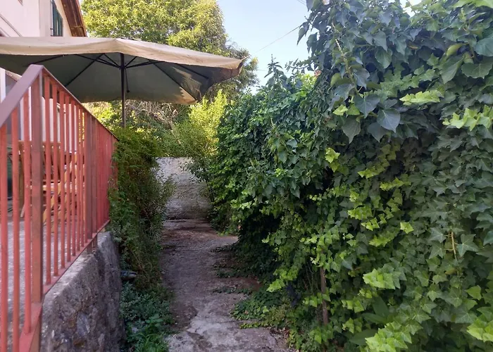 Self Service Attrezzato Melia