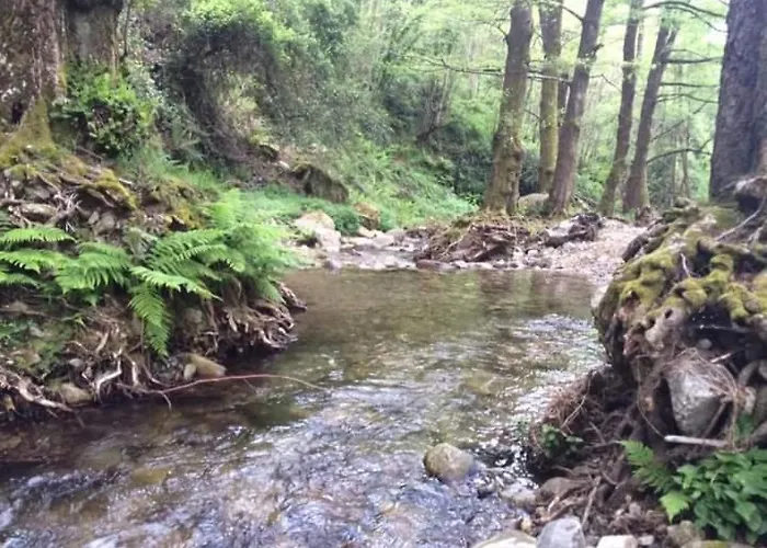 Self Service Attrezzato Melia